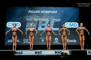 FIGURE НОВИЧКИ